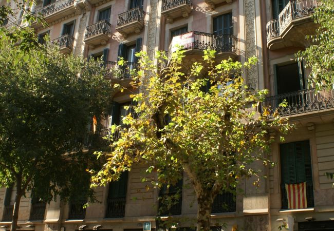 Appartement à Barcelona - New! Paseo de Gracia, best location-0-Dormitorios Appartement à Barcelona - New! Paseo de Gracia, best location-0-Dormitorios