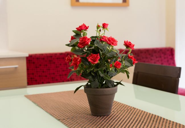 Appartement à Barcelona - MARQUES, rénové, grand, moderne, appartement de 4 chambres à louer par jours dans le centre de Barcelone, Eixample, Sant Antoni Appartement à Barcelona - MARQUES, rénové, grand, moderne, appartement de 4 chambres à louer par jours dans le centre de Barcelone, Eixample, Sant Antoni