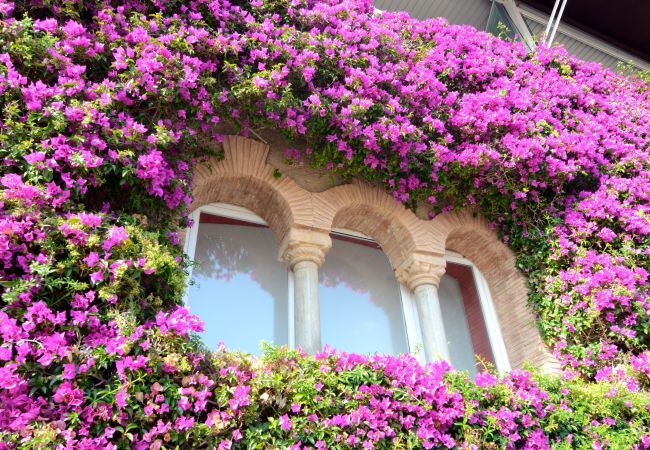 Appartement à Estartit - NAUTIC 2D 3-4 Appartement à Estartit - NAUTIC 2D 3-4