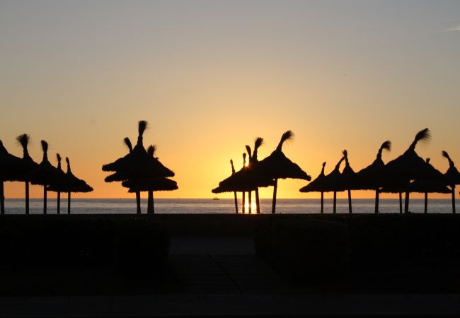 Domaine à Alcúdia - Can Roig 113 fantastique finca avec piscine privée, jardin, espace enfants et climatisation Domaine à Alcúdia - Can Roig 113 fantastique finca avec piscine privée, jardin, espace enfants et climatisation