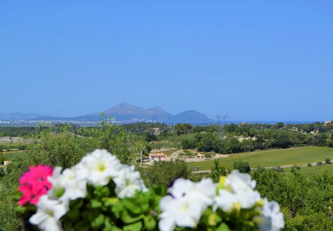 Appartement à louer à Mallorca