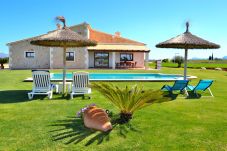 Beau jardin, piscine, finca, campagne, Majorque