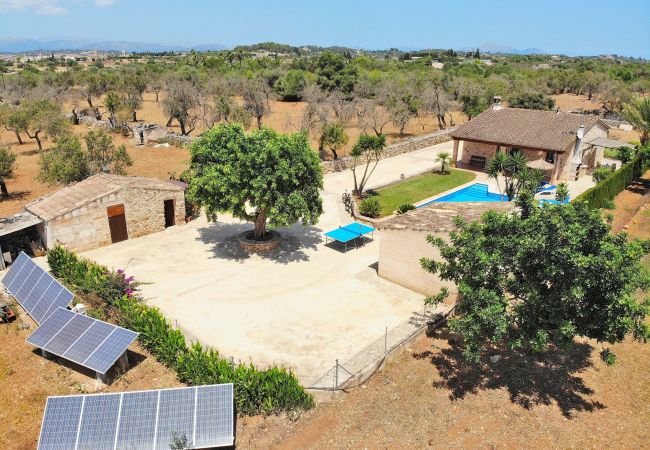 Domaine à Santa Margalida - S'Estret 184 magnifique finca avec piscine privée, terrasse, jardin agréable et tennis de table Domaine à Santa Margalida - S'Estret 184 magnifique finca avec piscine privée, terrasse, jardin agréable et tennis de table