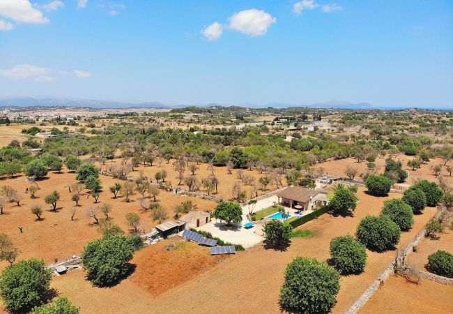 Domaine à Santa Margalida - S'Estret 184 magnifique finca avec piscine privée, terrasse, jardin agréable et tennis de table Domaine à Santa Margalida - S'Estret 184 magnifique finca avec piscine privée, terrasse, jardin agréable et tennis de table
