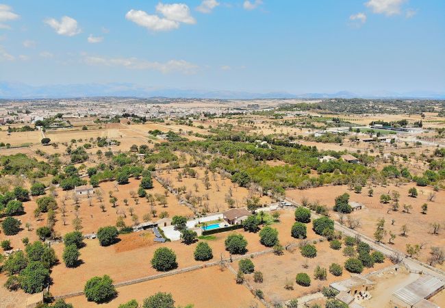 Domaine à Santa Margalida - S'Estret 184 magnifique finca avec piscine privée, terrasse, jardin agréable et tennis de table Domaine à Santa Margalida - S'Estret 184 magnifique finca avec piscine privée, terrasse, jardin agréable et tennis de table
