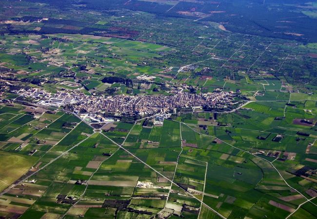 Maison à Santa Margalida - Can Cantino 213 fantastique maison de village avec piscine privée, air conditionné, terrasse, barbecue et WiFi Maison à Santa Margalida - Can Cantino 213 fantastique maison de village avec piscine privée, air conditionné, terrasse, barbecue et WiFi