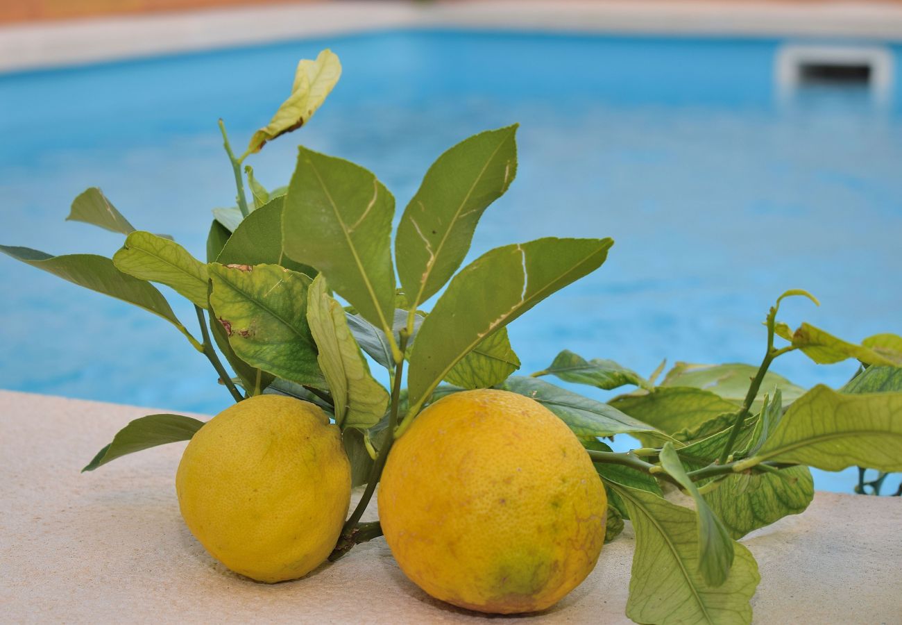 Maison à Santa Margalida - Can Cantino 213 fantastique maison de village avec piscine privée, air conditionné, terrasse, barbecue et WiFi Maison à Santa Margalida - Can Cantino 213 fantastique maison de village avec piscine privée, air conditionné, terrasse, barbecue et WiFi