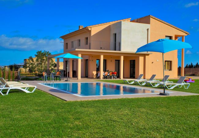 Maison de vacances avec piscine et chaises longues en pleine nature 