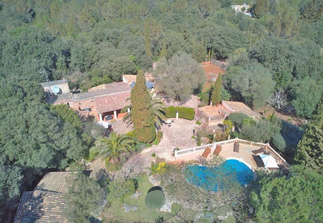 Grande finca avec piscine et jardin. location de vacances