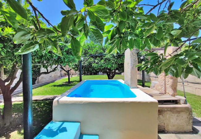 grand jardin avec piscine et intimité