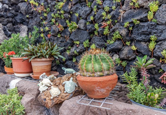 Maison à Moya - Mari House With Jacuzzi and BBQ by CanariasGetaway Maison à Moya - Mari House With Jacuzzi and BBQ by CanariasGetaway