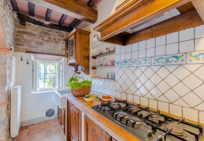 Villa à Lucca - Tuscan Fizz, a traditional Stone Farmhouse with Private Pool and Amazing View among the Vineyards in Lucca Villa à Lucca - Tuscan Fizz, a traditional Stone Farmhouse with Private Pool and Amazing View among the Vineyards in Lucca