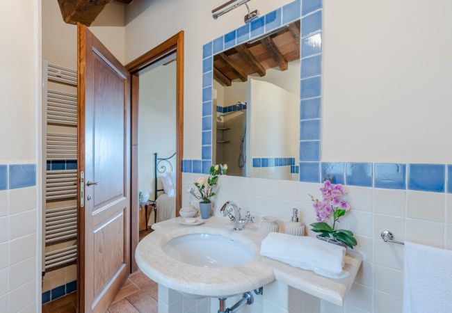 Villa à Lucca - Tuscan Fizz, a traditional Stone Farmhouse with Private Pool and Amazing View among the Vineyards in Lucca Villa à Lucca - Tuscan Fizz, a traditional Stone Farmhouse with Private Pool and Amazing View among the Vineyards in Lucca