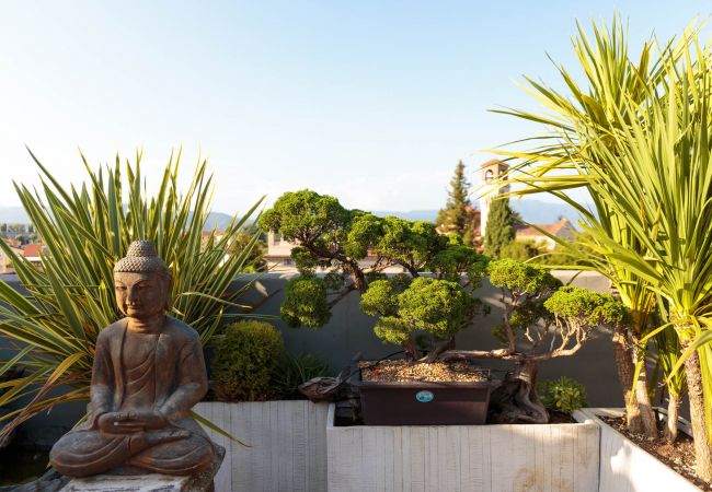 Appartement à Lucca - Casa Dieter, a superb 2 bedrooms Apartment with Grand Terrace and private parking in Central Lucca Appartement à Lucca - Casa Dieter, a superb 2 bedrooms Apartment with Grand Terrace and private parking in Central Lucca