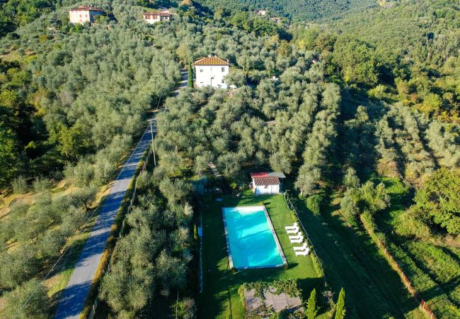 Villa à Lucca - Romantic Farmhouse with Oversize Panoramic Pool Villa à Lucca - Romantic Farmhouse with Oversize Panoramic Pool