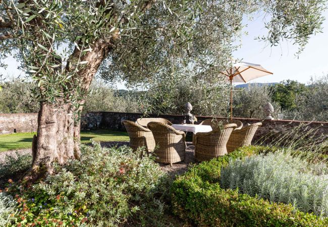 Villa à Lucca - Romantic Farmhouse with Oversize Panoramic Pool Villa à Lucca - Romantic Farmhouse with Oversize Panoramic Pool