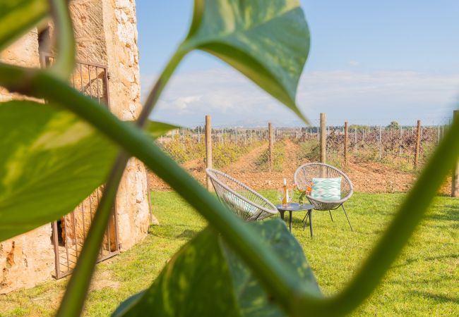 Villa à Muro - 277 Son Sant Joan by Mallorca Charme Villa à Muro - 277 Son Sant Joan by Mallorca Charme