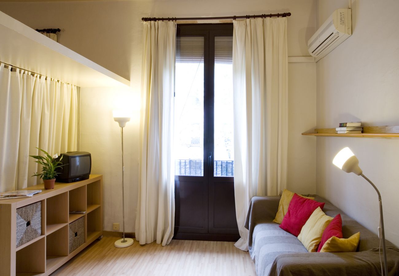 Appartamento a Barcelona - GOTHIC - Balcony & shared terrace apartment Appartamento a Barcelona - GOTHIC - Balcony & shared terrace apartment