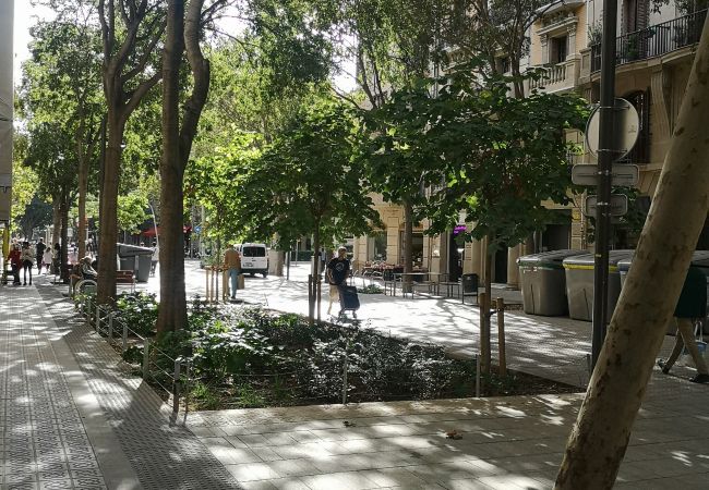 Appartamento a Barcelona - 2 bedrooms apartment in Eixample Appartamento a Barcelona - 2 bedrooms apartment in Eixample