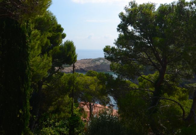 Villa a Begur - PIC DE L'OCELL Villa a Begur - PIC DE L'OCELL