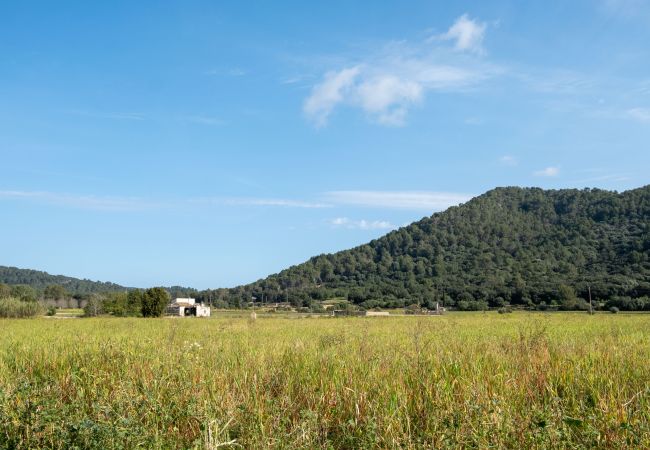 Fattoria a Sa Pobla - Can Mussol 040 magnifica villa con piscina privada, gran jardín, zona infantil, billar, ping pong y WiFi Fattoria a Sa Pobla - Can Mussol 040 magnifica villa con piscina privada, gran jardín, zona infantil, billar, ping pong y WiFi