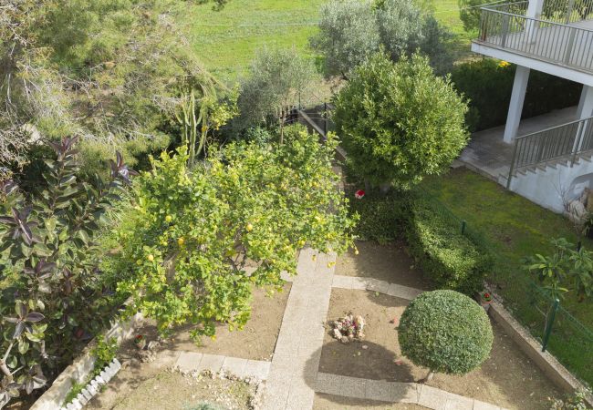 Casa a Alcudia - Can Xim 080 fantástica casa cerca de la playa, con terraza, jardín, barbacoa y WiFi Casa a Alcudia - Can Xim 080 fantástica casa cerca de la playa, con terraza, jardín, barbacoa y WiFi