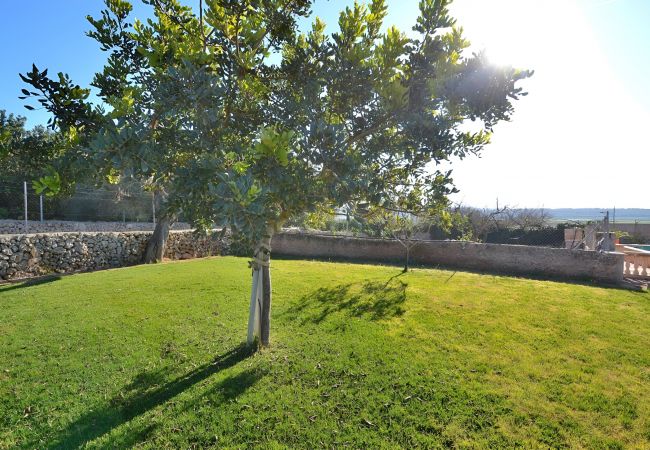 Fattoria a Ariany - Sa Rota 078 fantástica finca con piscina privada, jardín, ping pong y fibra óptica Fattoria a Ariany - Sa Rota 078 fantástica finca con piscina privada, jardín, ping pong y fibra óptica