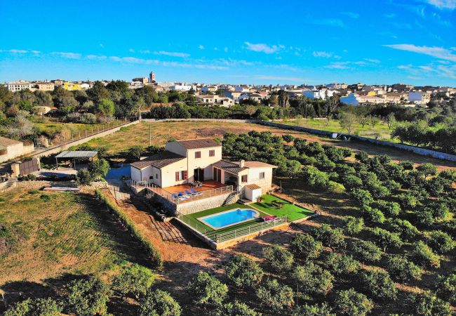  a Muro - Els Tarongers 081 fantástica finca con piscina privada, aire acondicionado, terraza y barbacoa