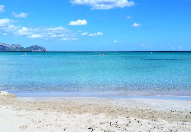 Villetta a Can Picafort - Casa Alba 159 acogedora casa de vacaciones con jardín, terraza en zona residencial, barbacoa y WiFi Villetta a Can Picafort - Casa Alba 159 acogedora casa de vacaciones con jardín, terraza en zona residencial, barbacoa y WiFi