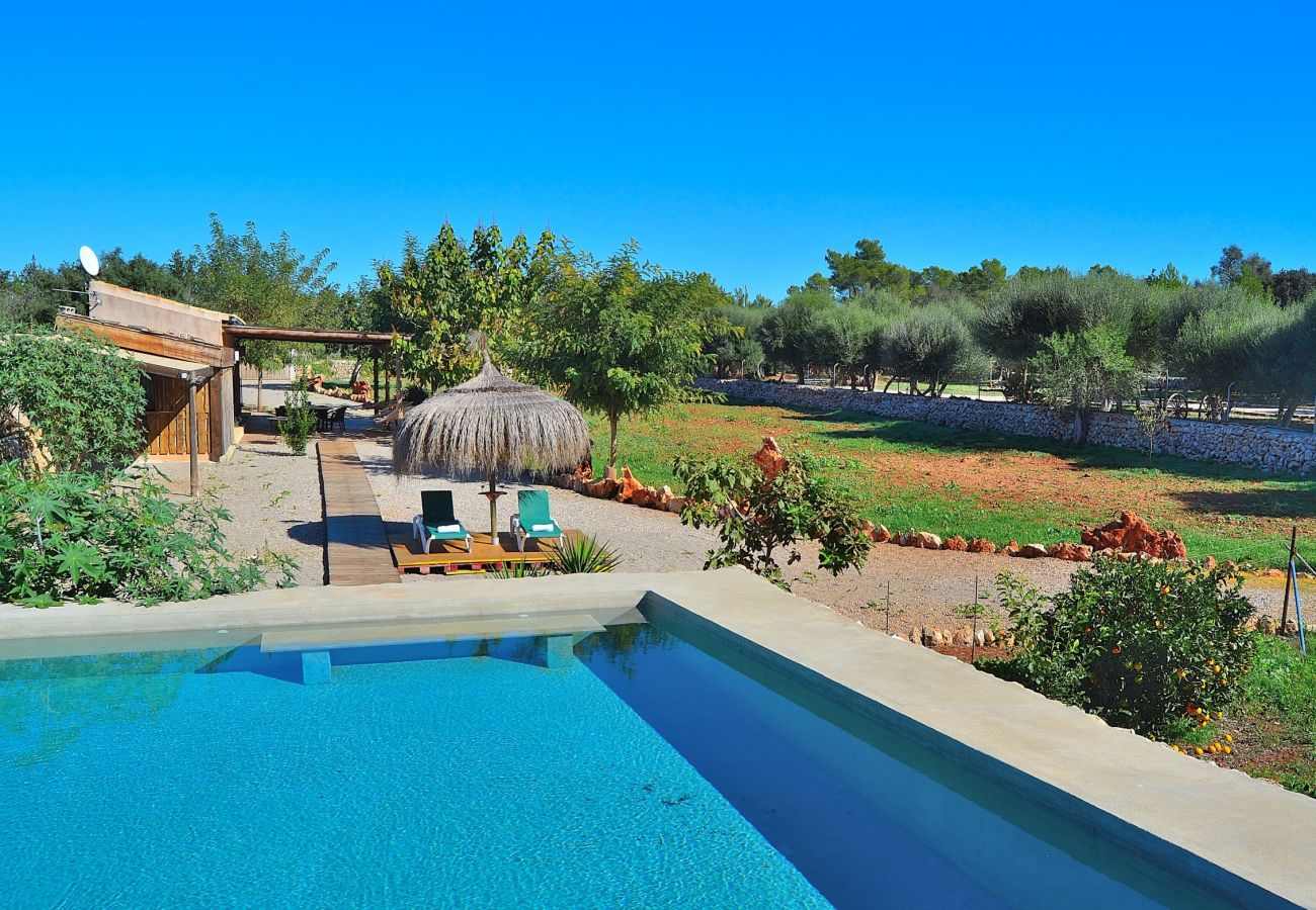 Fattoria a Muro - Sa Casita 225 acogedora finca en la naturaleza, con piscina privada, jardín, barbacoa y WiFi Fattoria a Muro - Sa Casita 225 acogedora finca en la naturaleza, con piscina privada, jardín, barbacoa y WiFi
