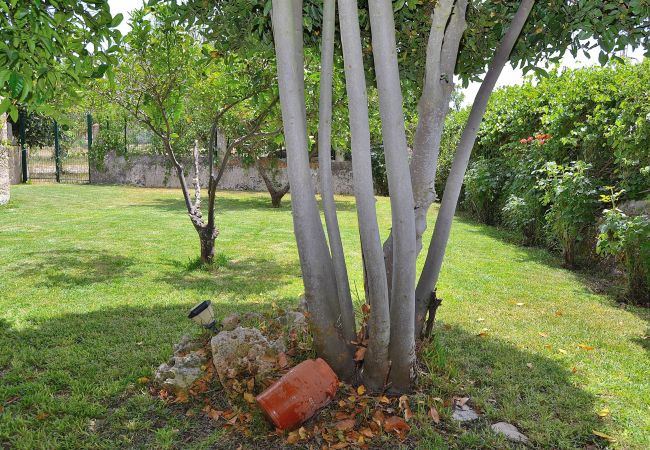 Fattoria a Lloret de Vistalegre - Can Blanc 018 finca rústica con piscina privada, aire acondicionado, terraza y barbacoa Fattoria a Lloret de Vistalegre - Can Blanc 018 finca rústica con piscina privada, aire acondicionado, terraza y barbacoa