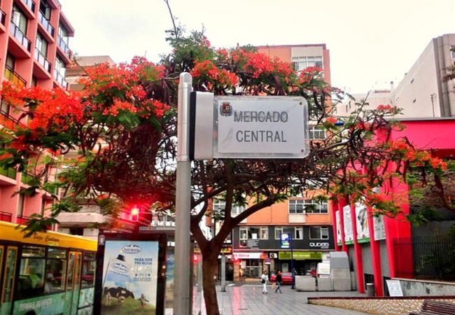 Studio a Las Palmas de Gran Canaria - Edison Building 304 By CanariasGetaway  Studio a Las Palmas de Gran Canaria - Edison Building 304 By CanariasGetaway