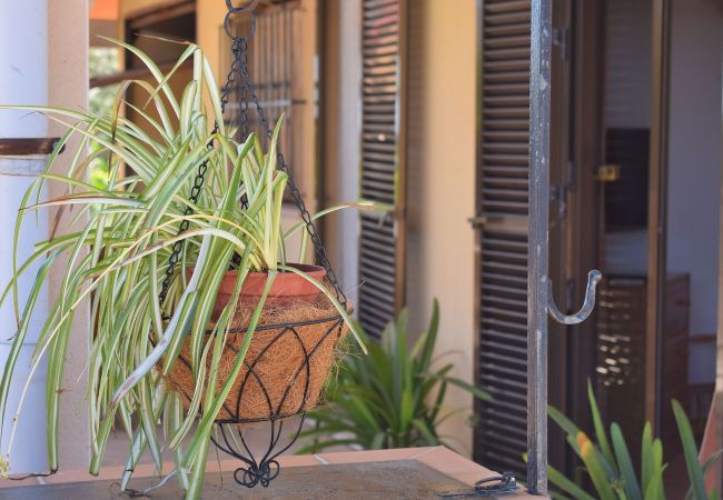 Villetta a Playa de Muro - Ca Na Coloma 145 fantástica villa con barbacoa, billar, ping pong y WiFi Villetta a Playa de Muro - Ca Na Coloma 145 fantástica villa con barbacoa, billar, ping pong y WiFi