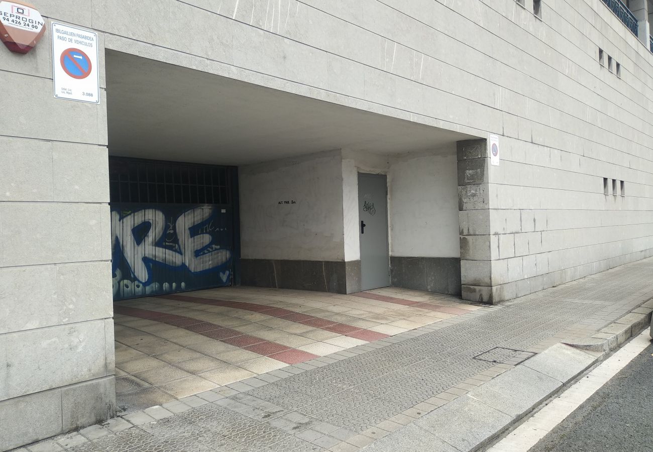 Appartamento a Bilbao - SANI Appartamento a Bilbao - SANI