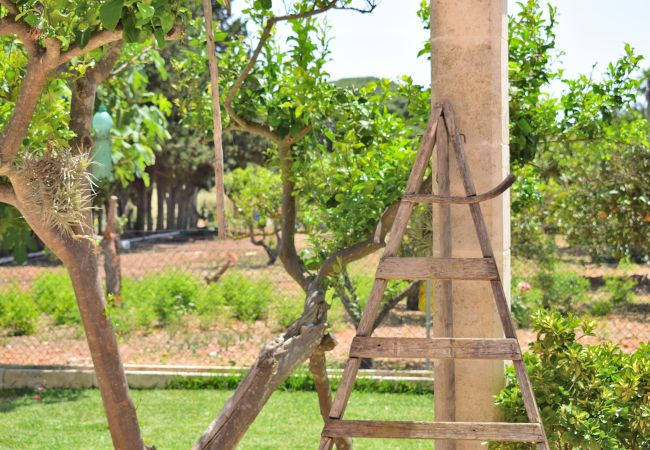 Villa a Muro - Biniaco 239 magnífica villa con piscina privada, gran zona exterior, barbacoa y aire acondicionado Villa a Muro - Biniaco 239 magnífica villa con piscina privada, gran zona exterior, barbacoa y aire acondicionado