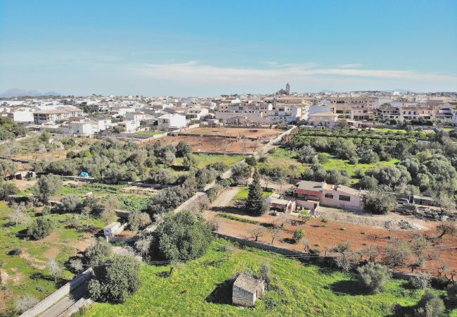 Fattoria a Muro - Terra Nostra 147 acogedora finca con impresionantes vistas, terraza, jacuzzi y aire acondicionado Fattoria a Muro - Terra Nostra 147 acogedora finca con impresionantes vistas, terraza, jacuzzi y aire acondicionado