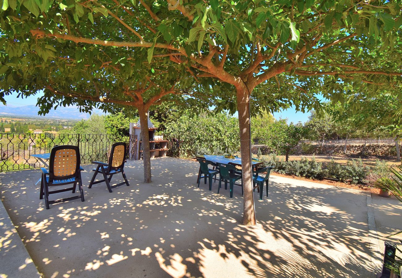 Fattoria a Muro - Terra Nostra 147 acogedora finca con impresionantes vistas, terraza, jacuzzi y aire acondicionado Fattoria a Muro - Terra Nostra 147 acogedora finca con impresionantes vistas, terraza, jacuzzi y aire acondicionado