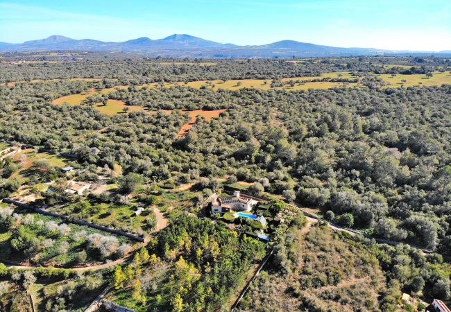 Fattoria a Ariany - Can Xisco Domatiga 250, Villa de piedra con piscina e internet de alta velocidad Fattoria a Ariany - Can Xisco Domatiga 250, Villa de piedra con piscina e internet de alta velocidad