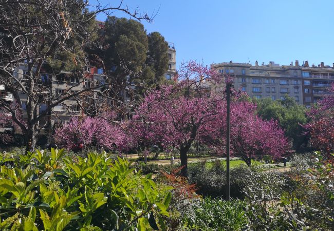 Appartamento a Barcelona - TURO PARK, precioso apartamento con balcón Appartamento a Barcelona - TURO PARK, precioso apartamento con balcón