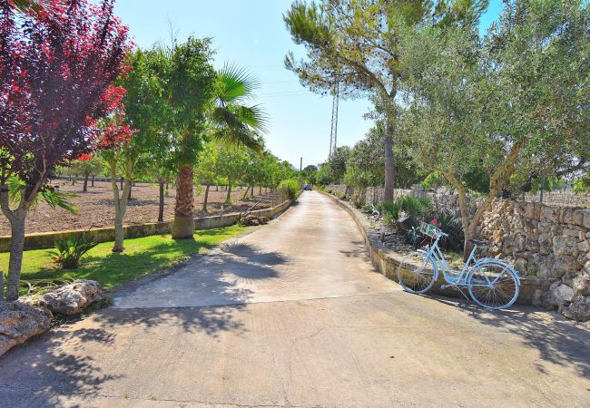 Villa a Santa Margalida - Vernissa 288 fantástica villa con piscina privada, gran jardín, barbacoa y aire acondicionado Villa a Santa Margalida - Vernissa 288 fantástica villa con piscina privada, gran jardín, barbacoa y aire acondicionado