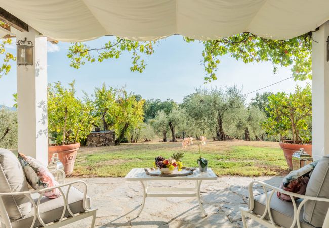 Villa a Capannori - Villa Noa, Romantic 8 bedroom Luxury Farmhouse with Private Pool on the Lucca Hills Villa a Capannori - Villa Noa, Romantic 8 bedroom Luxury Farmhouse with Private Pool on the Lucca Hills