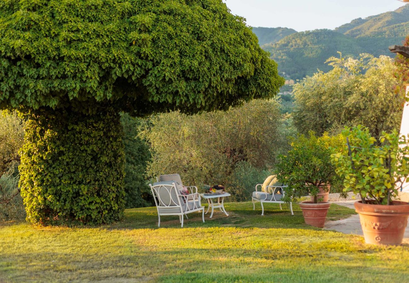 Villa a Capannori - Villa Noa, Romantic 8 bedroom Luxury Farmhouse with Private Pool on the Lucca Hills Villa a Capannori - Villa Noa, Romantic 8 bedroom Luxury Farmhouse with Private Pool on the Lucca Hills