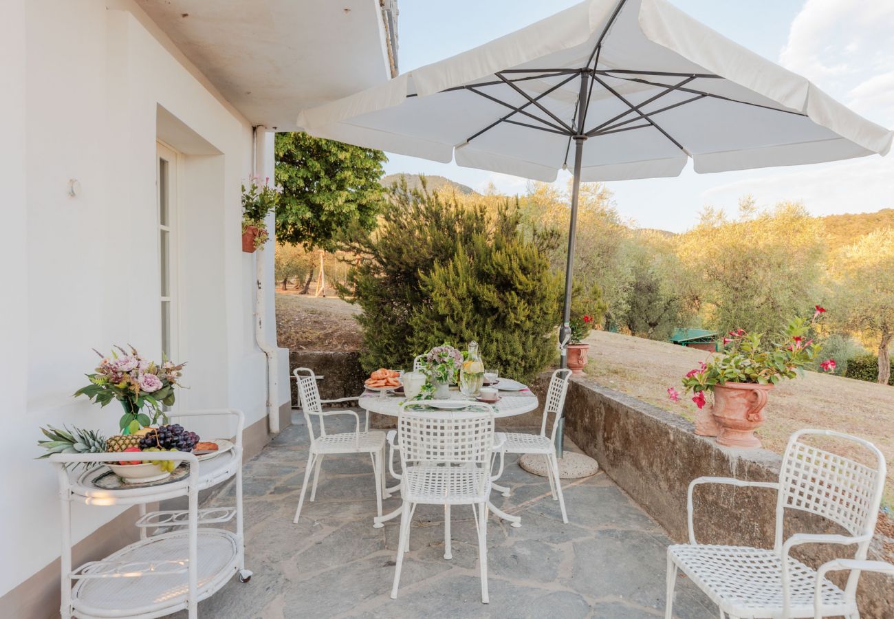 Villa a Capannori - Villa Noa, Romantic 8 bedroom Luxury Farmhouse with Private Pool on the Lucca Hills Villa a Capannori - Villa Noa, Romantic 8 bedroom Luxury Farmhouse with Private Pool on the Lucca Hills