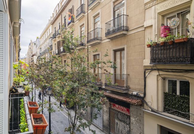 Appartamento a Madrid - Hermoso apartamento  Plaza Zerolo INF1D Appartamento a Madrid - Hermoso apartamento  Plaza Zerolo INF1D