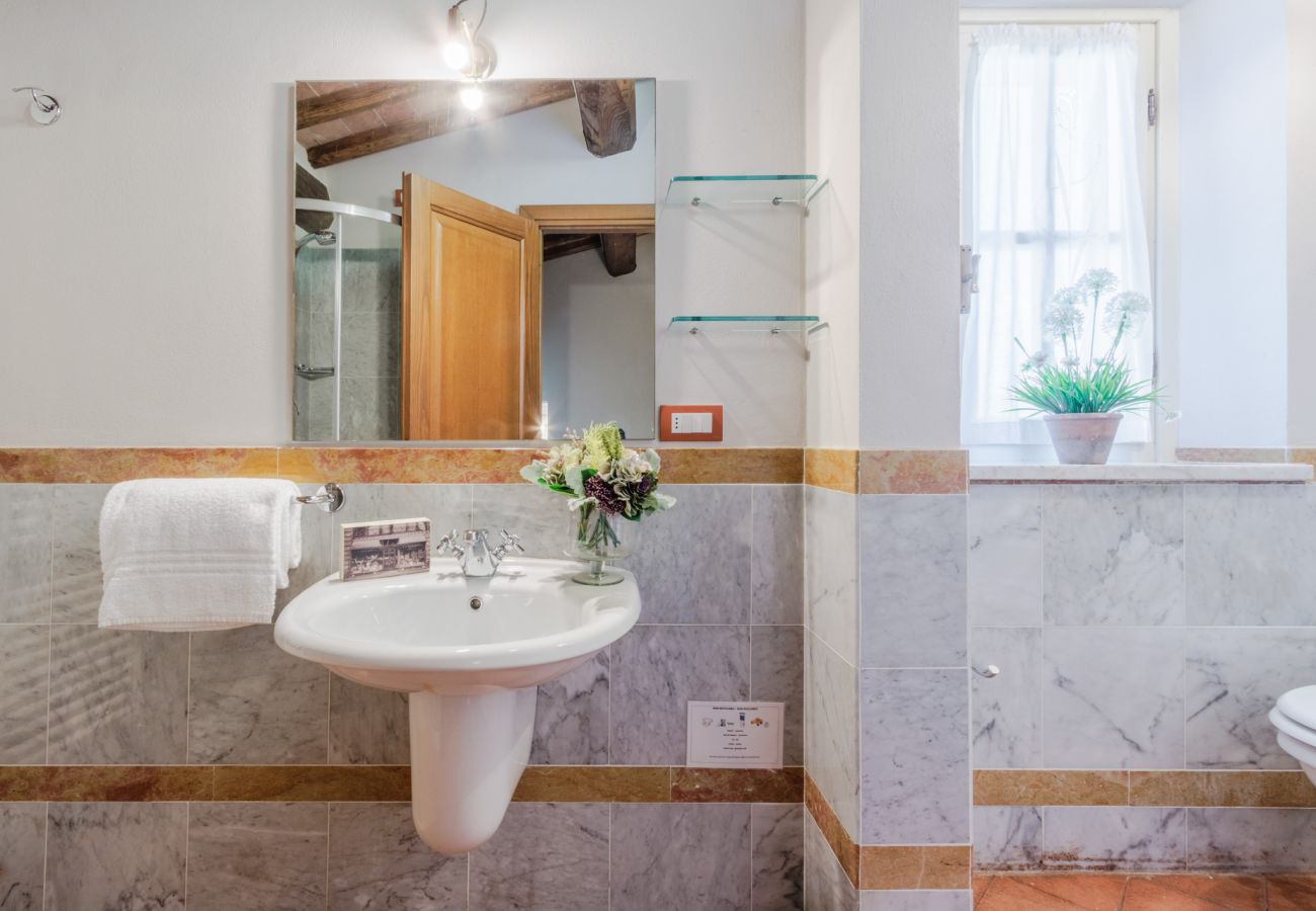 Appartamento a Monte San quirico - Anna Farmhouse Apartment in Wine Resort in Lucca Appartamento a Monte San quirico - Anna Farmhouse Apartment in Wine Resort in Lucca