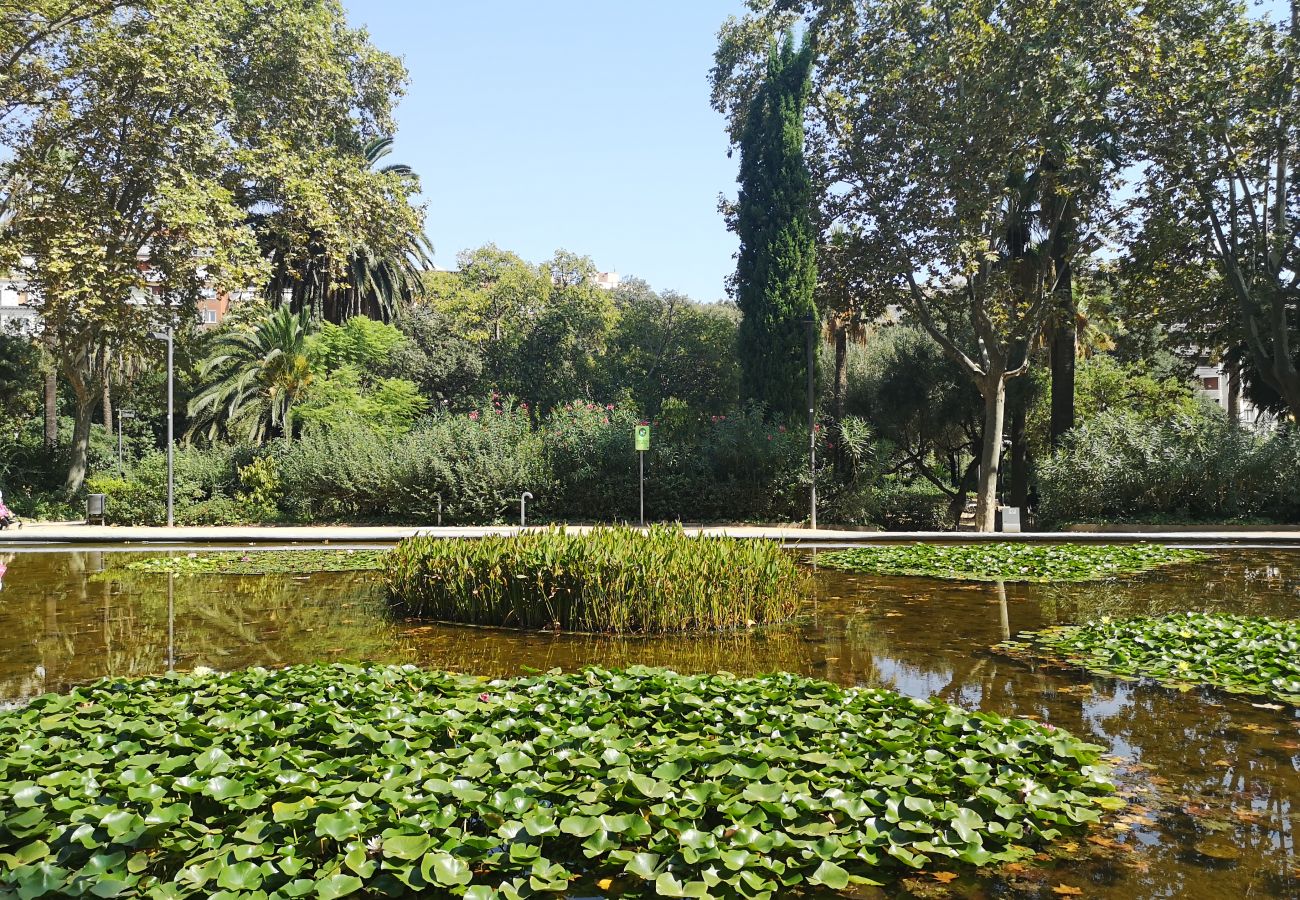 Appartamento a Barcelona - Terraza privada, 3 dormitorios, 2 baños, Barcelona centro Appartamento a Barcelona - Terraza privada, 3 dormitorios, 2 baños, Barcelona centro