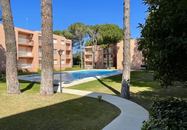 Studio a Pals - ESTUDI SWING Studio a Pals - ESTUDI SWING