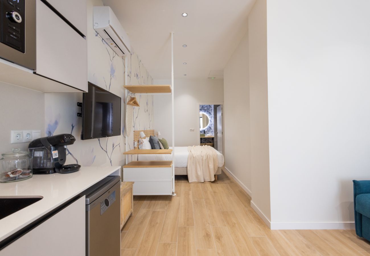 Studio a Valencia / València - The Green Apartment III by Florit Flats Studio a Valencia / València - The Green Apartment III by Florit Flats