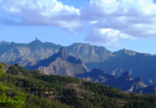 Studio a Las Palmas de Gran Canaria - Castle Bank By CanariasGetaway Studio a Las Palmas de Gran Canaria - Castle Bank By CanariasGetaway