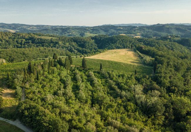 Villa a San Miniato - Villa San Miniato Corniano: Iconic 5 Bedrooms Farmhouse with Pool Villa a San Miniato - Villa San Miniato Corniano: Iconic 5 Bedrooms Farmhouse with Pool